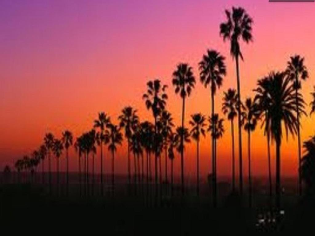 Venice Beach Apartments Monthly Rents Los Angeles Extérieur photo